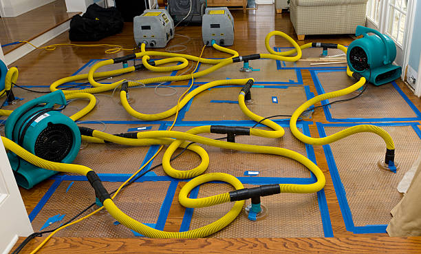 Professional Sewage Cleanup technician working in Fulton, NY
